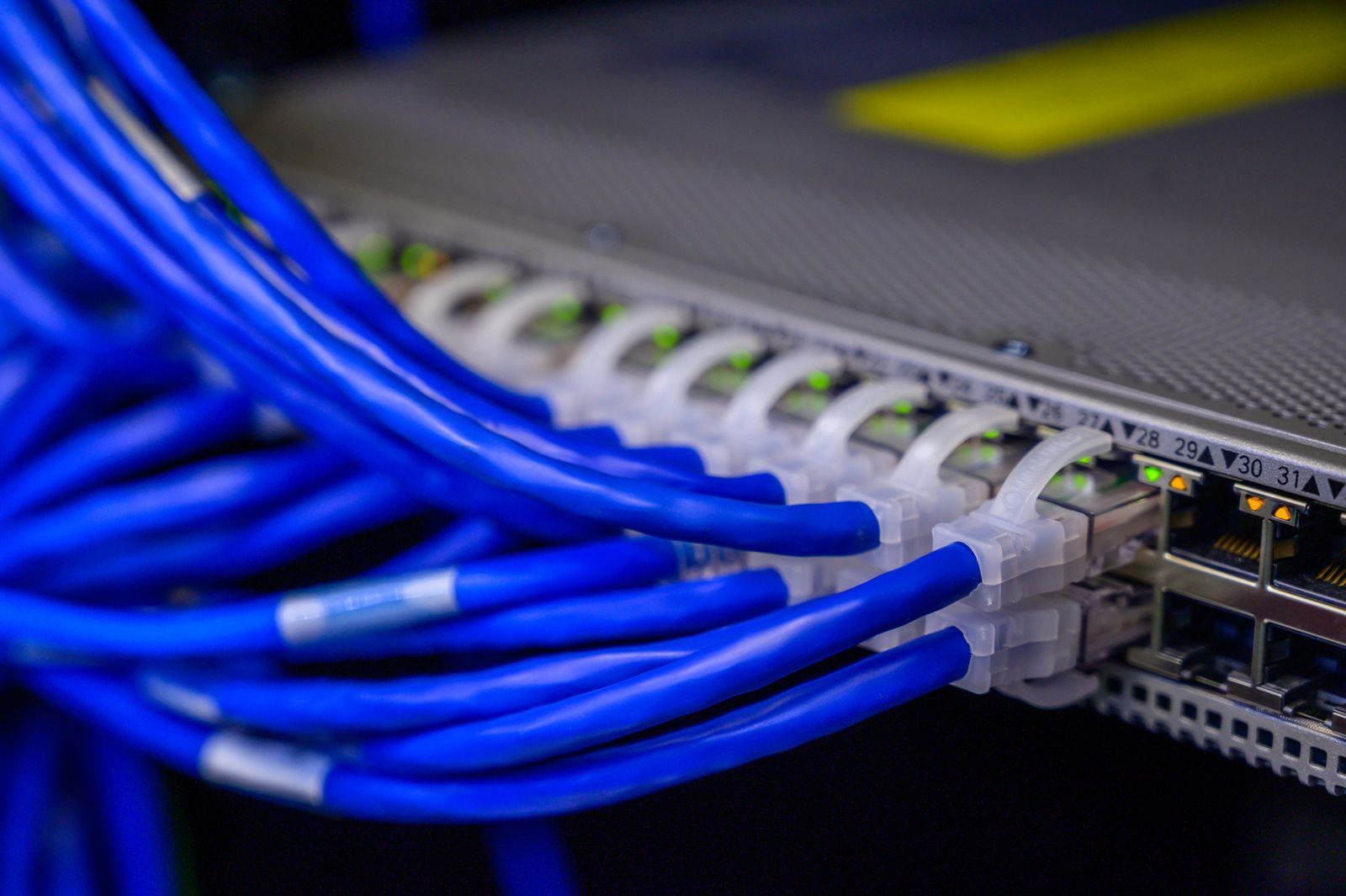 Blue network cables neatly patched into a switch